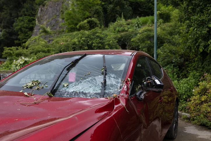 Windshield Damage Claims
