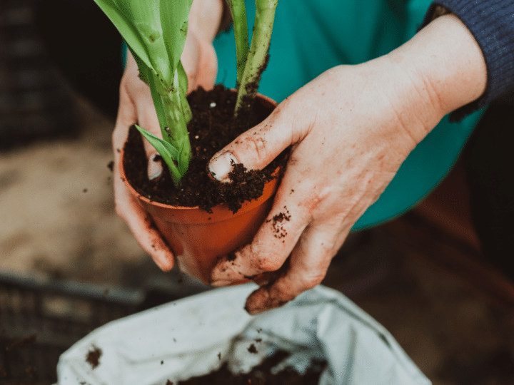 Save Money & Go Green This Summer