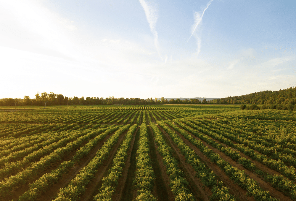 Getting the Farm Right Insurance for Your Operations
