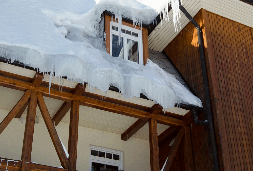 Home Insurance in Ontario: How to Safeguard Your Property Against Water Damage