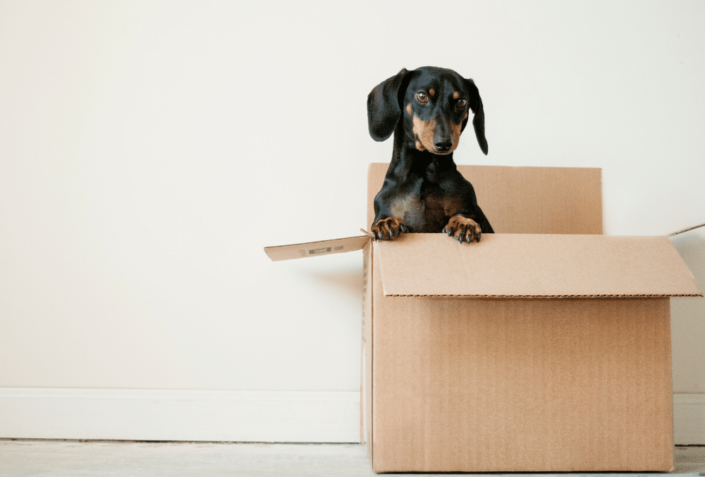 Moving 101: change of address checklist