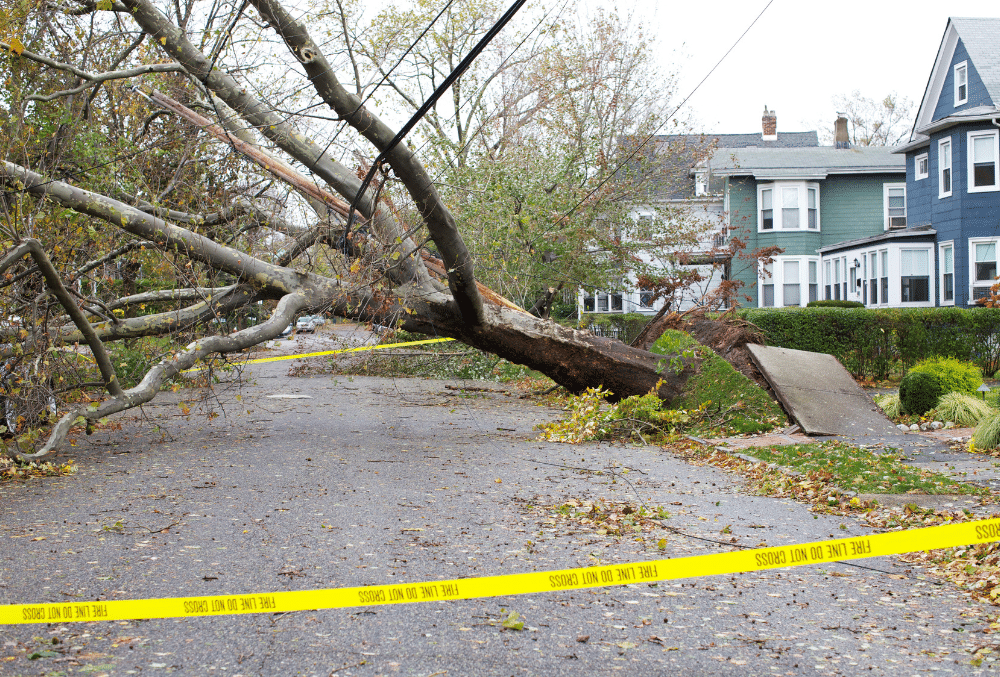 Keeping your home protected during a severe wind storm