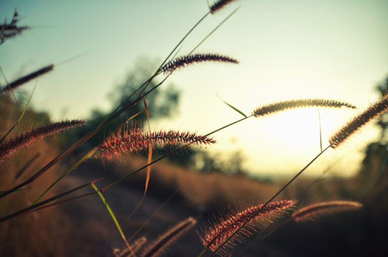Tractor Time: How to Prepare for Spring and Summer