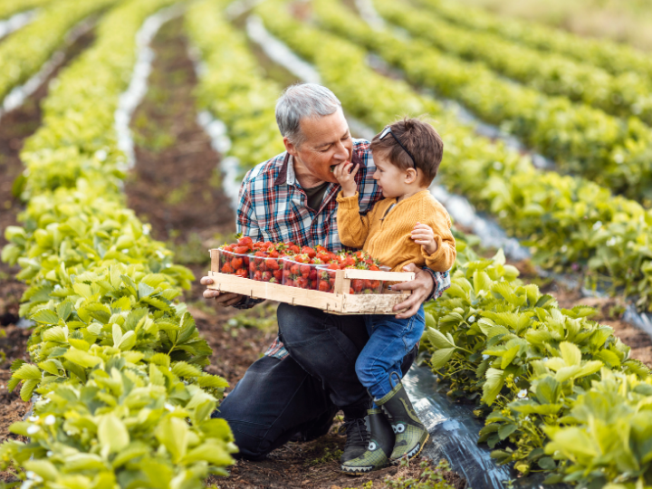 Sustainable agri-tourism in Ontario