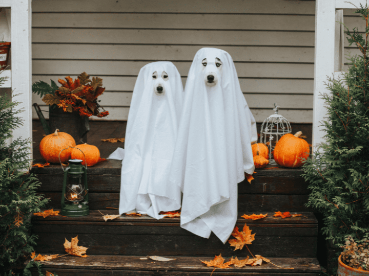 Are You Liable if Someone Gets Hurt on Your Property This Halloween?