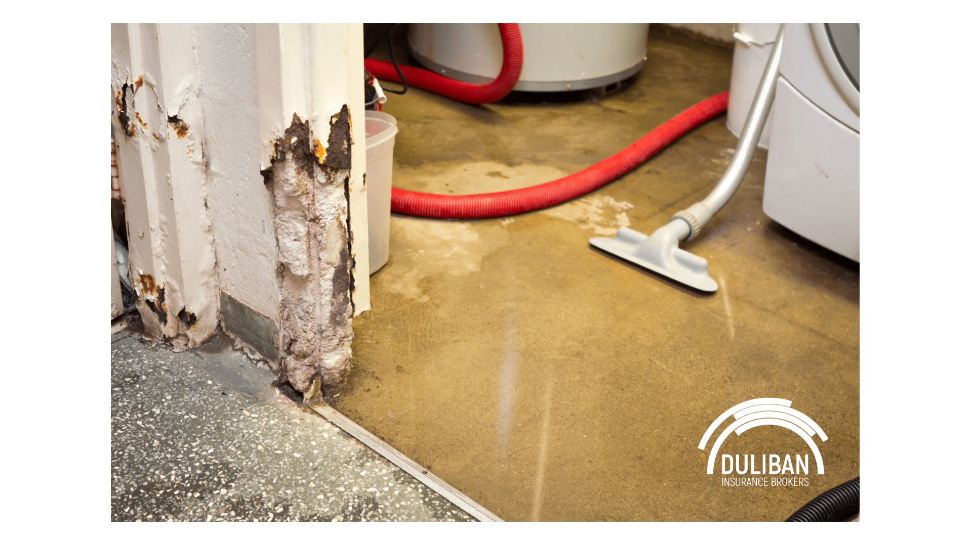 basement flood home insurance